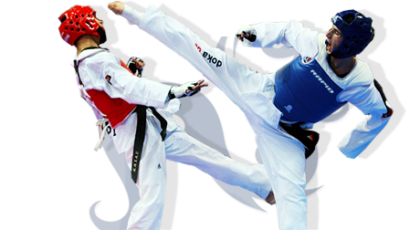 �������� ��������� Taekwondo WTF